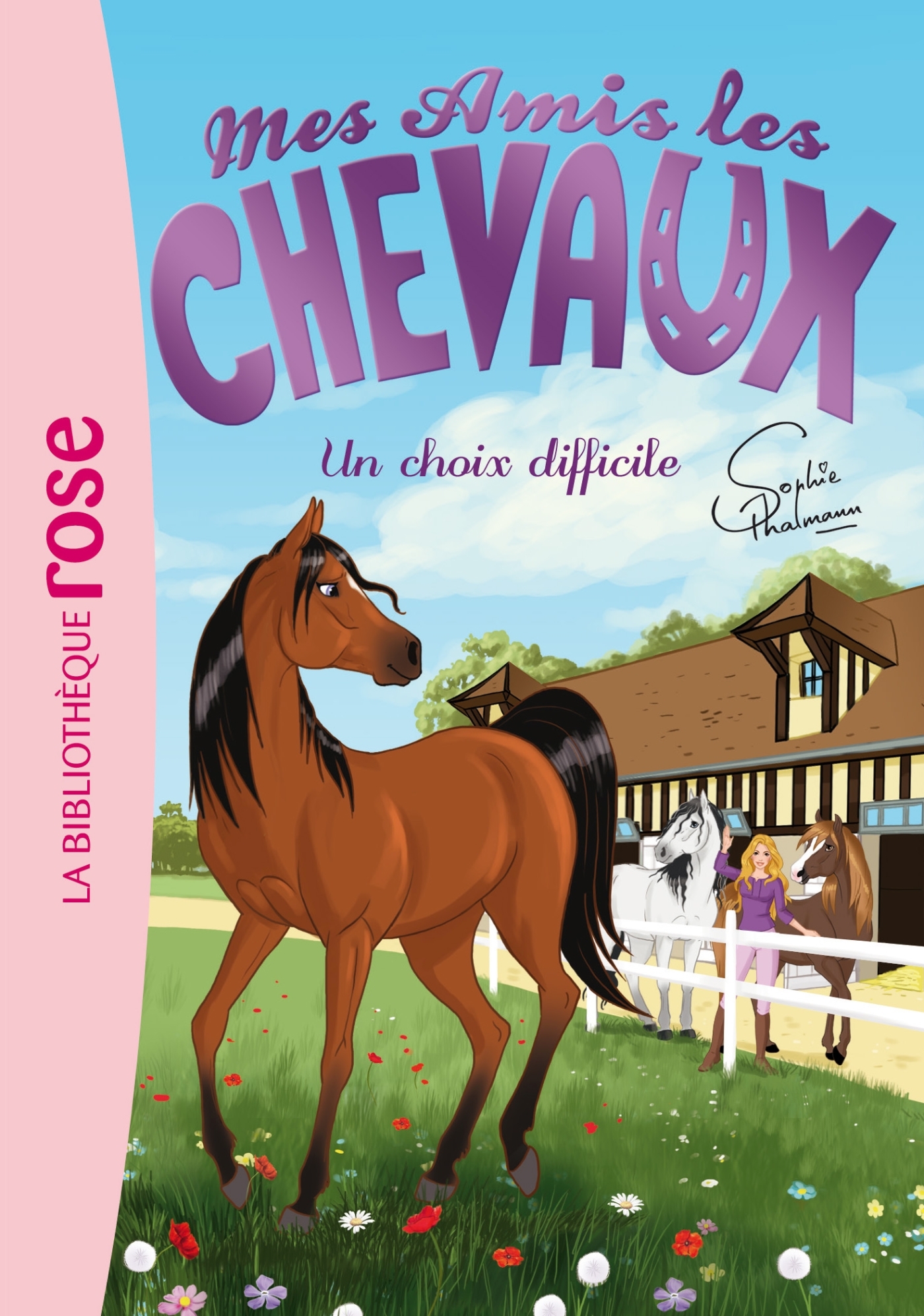 Mes amis les chevaux 03 - Un choix difficile - Hachette Livre, Natacha Godeau, Sophie Thalmann - HACHETTE JEUN.