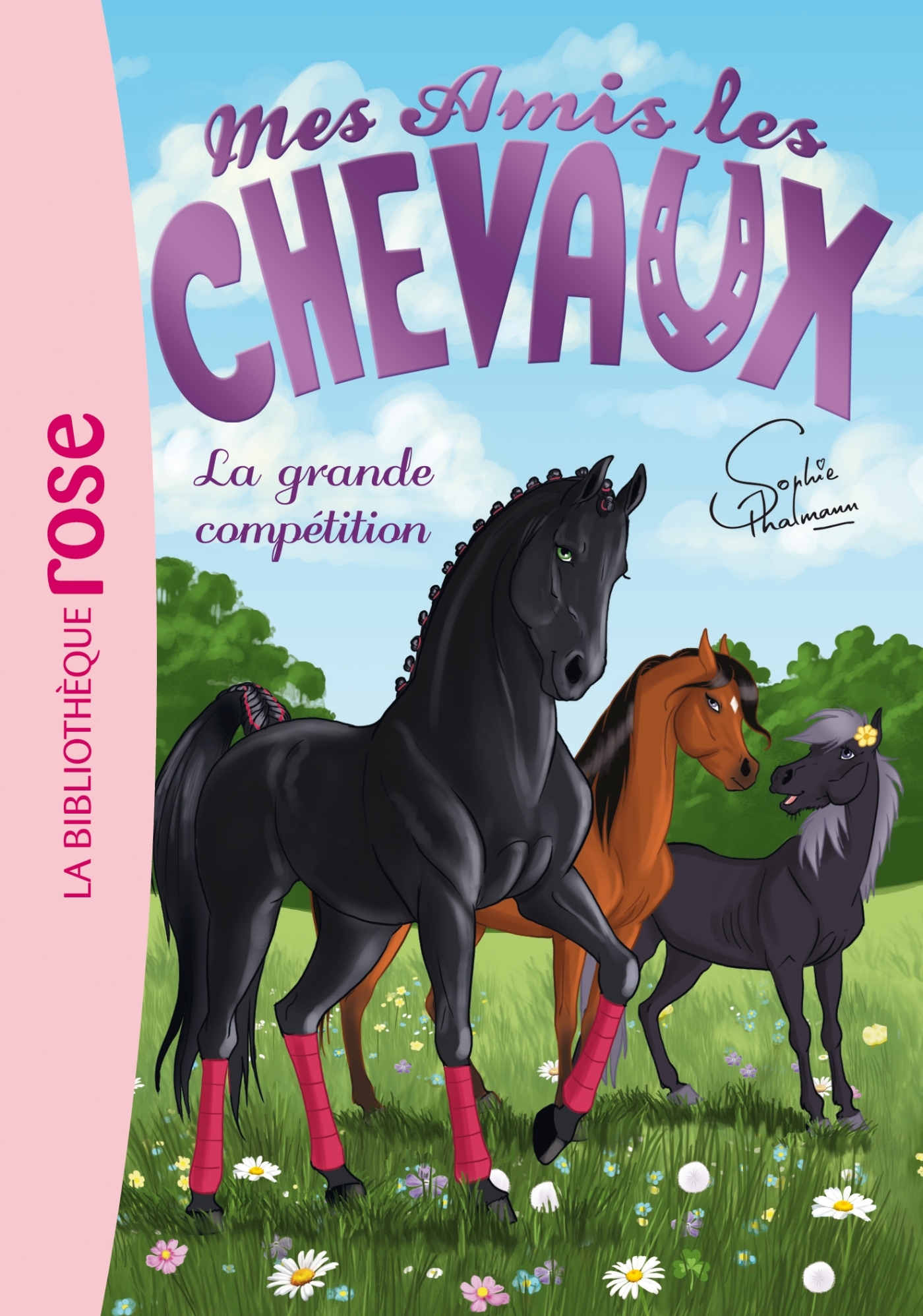 Mes amis les chevaux 02 - La grande compétition - Hachette Livre, Natacha Godeau, Sophie Thalmann - HACHETTE JEUN.