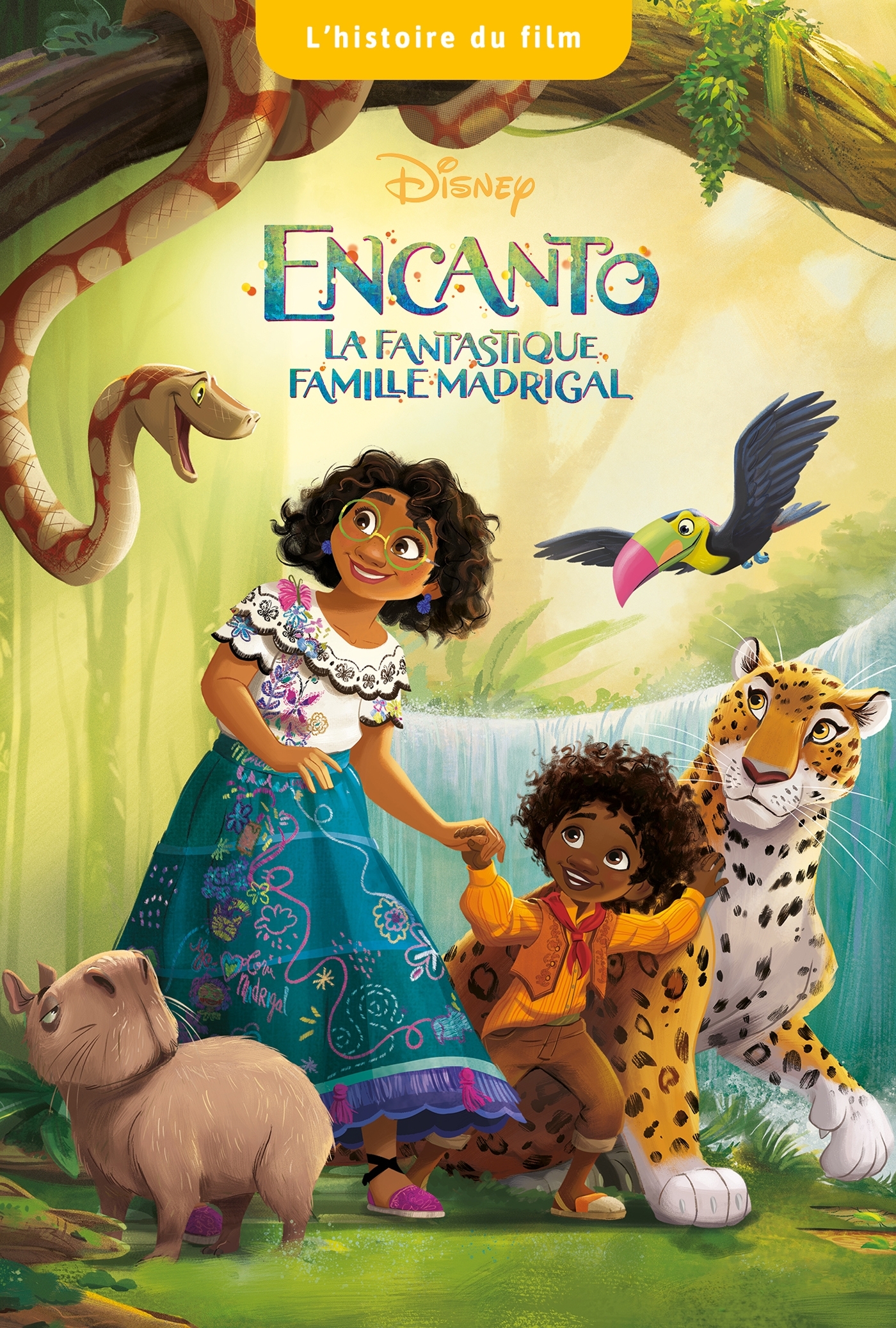 ENCANTO, LA FANTASTIQUE FAMILLE MADRIGAL - L'Histoire du film - Disney -  Collectif - DISNEY HACHETTE