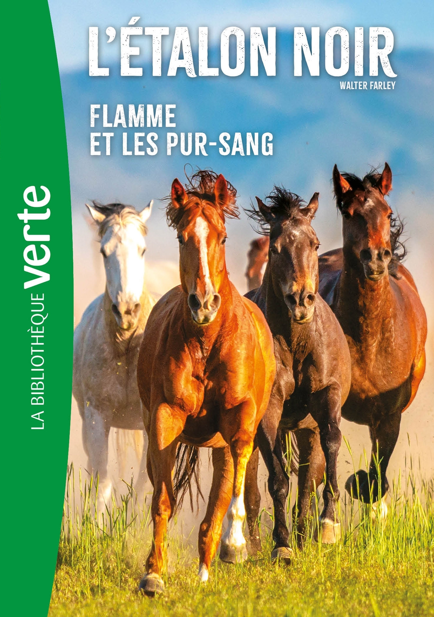 L'Etalon Noir NED 11 - Flamme et les pur-sang - Walter Farley - HACHETTE JEUN.