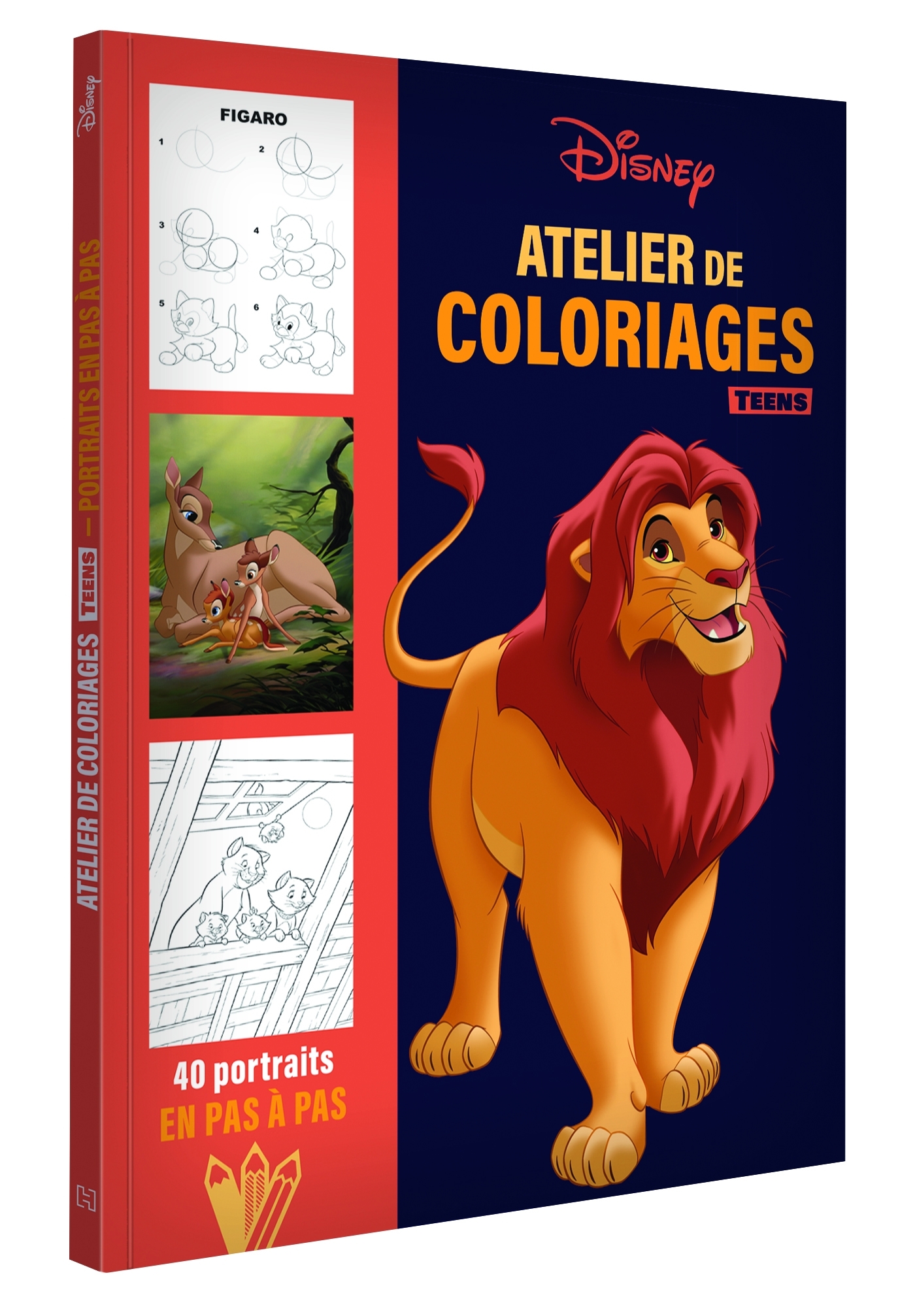 DISNEY TEENS - Atelier de coloriages - Portraits en pas à pas - XXX - DISNEY HACHETTE