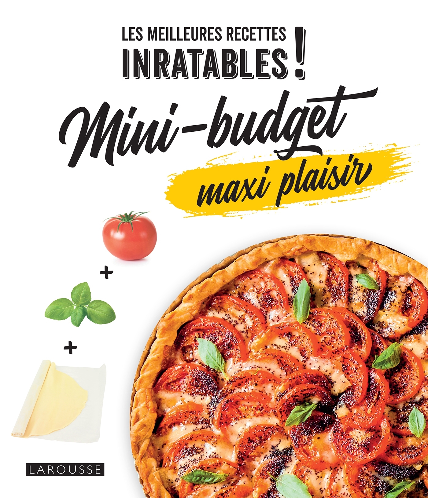 MINI-BUDGET MAXI PLAISIR -   - LAROUSSE