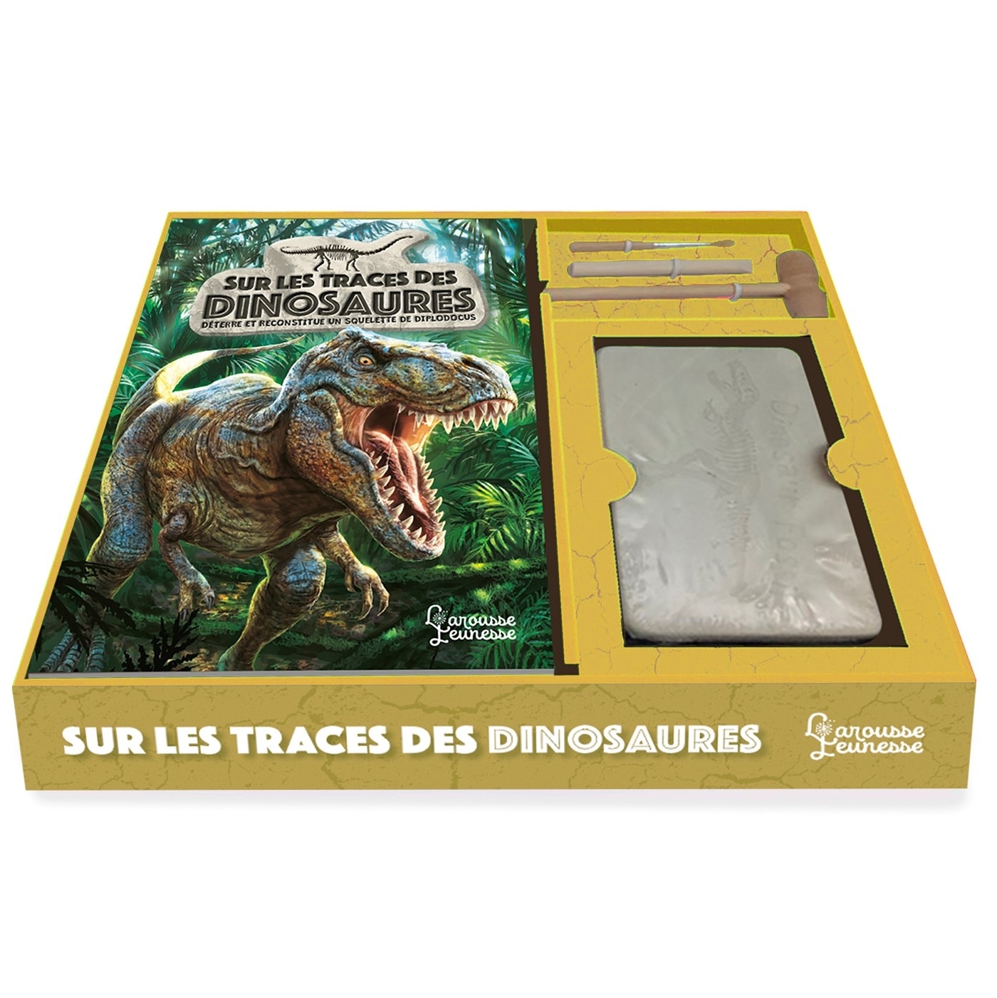 Sur les traces des dinosaures - Thierry Olivaux, Annapaola Del Nevo - LAROUSSE