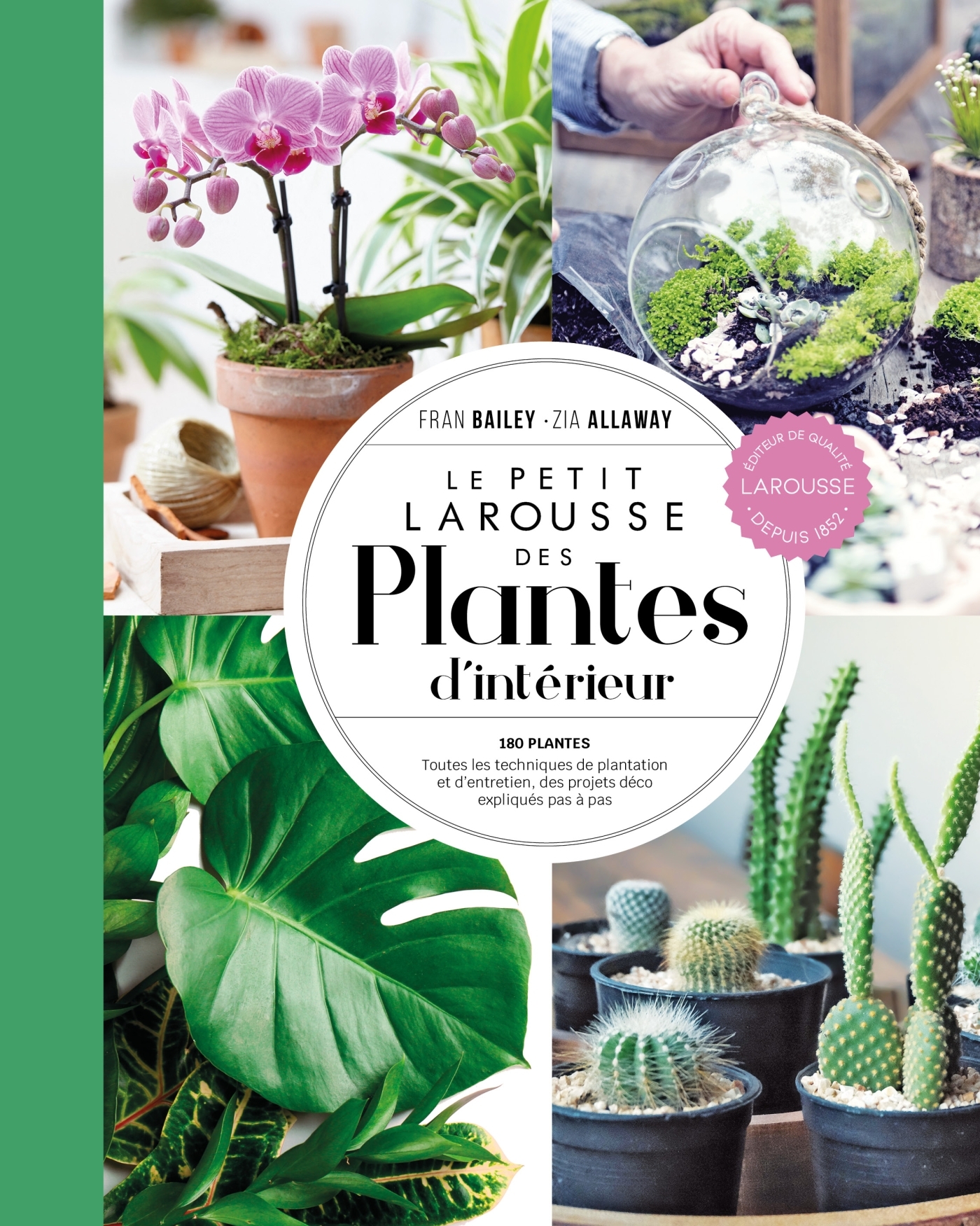 Petit Larousse des plantes d'intérieur - NP - Fran Bailey, Zia Allaway - LAROUSSE