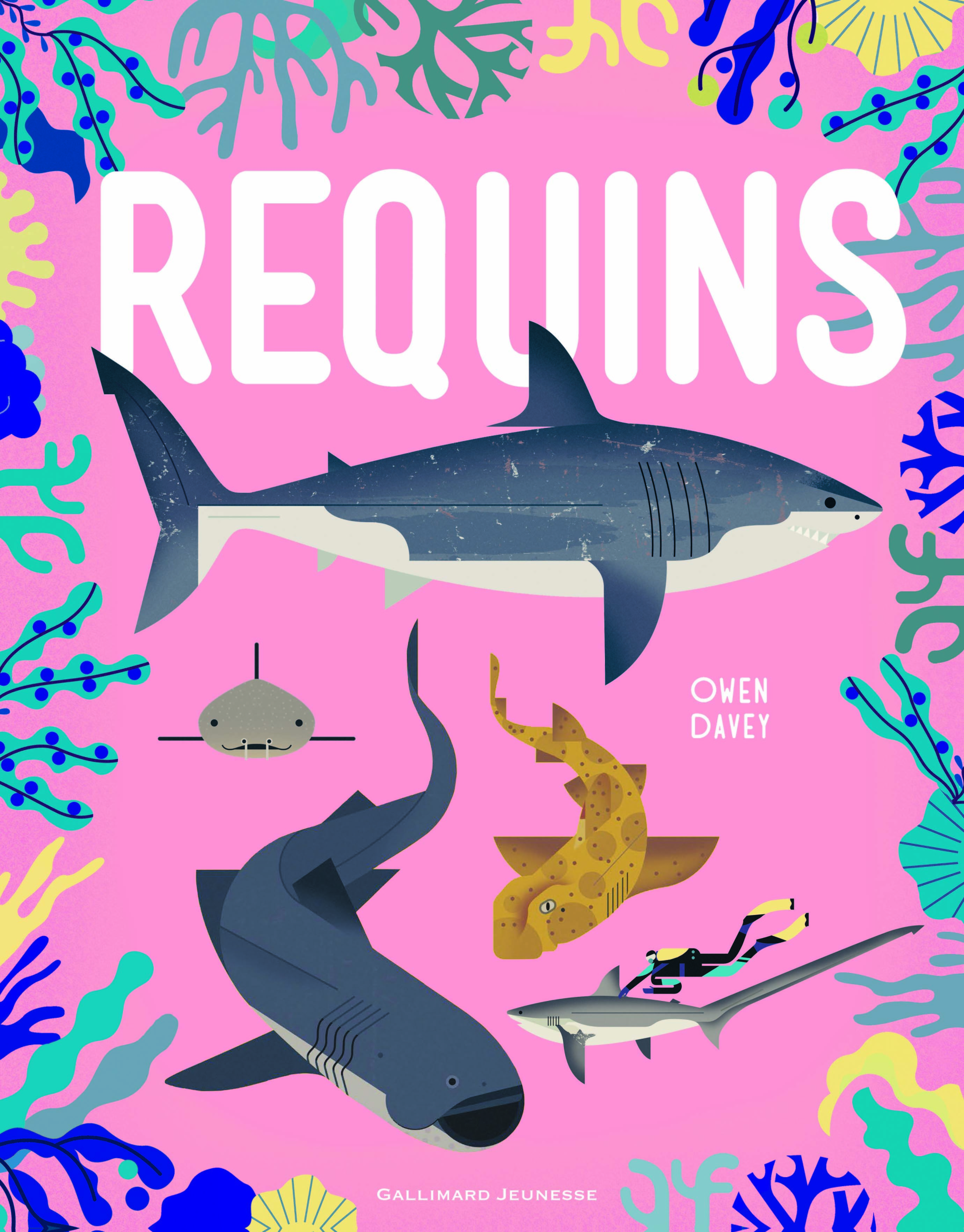 Requins - Owen Davey, Bérengère Viennot - GALLIMARD JEUNE