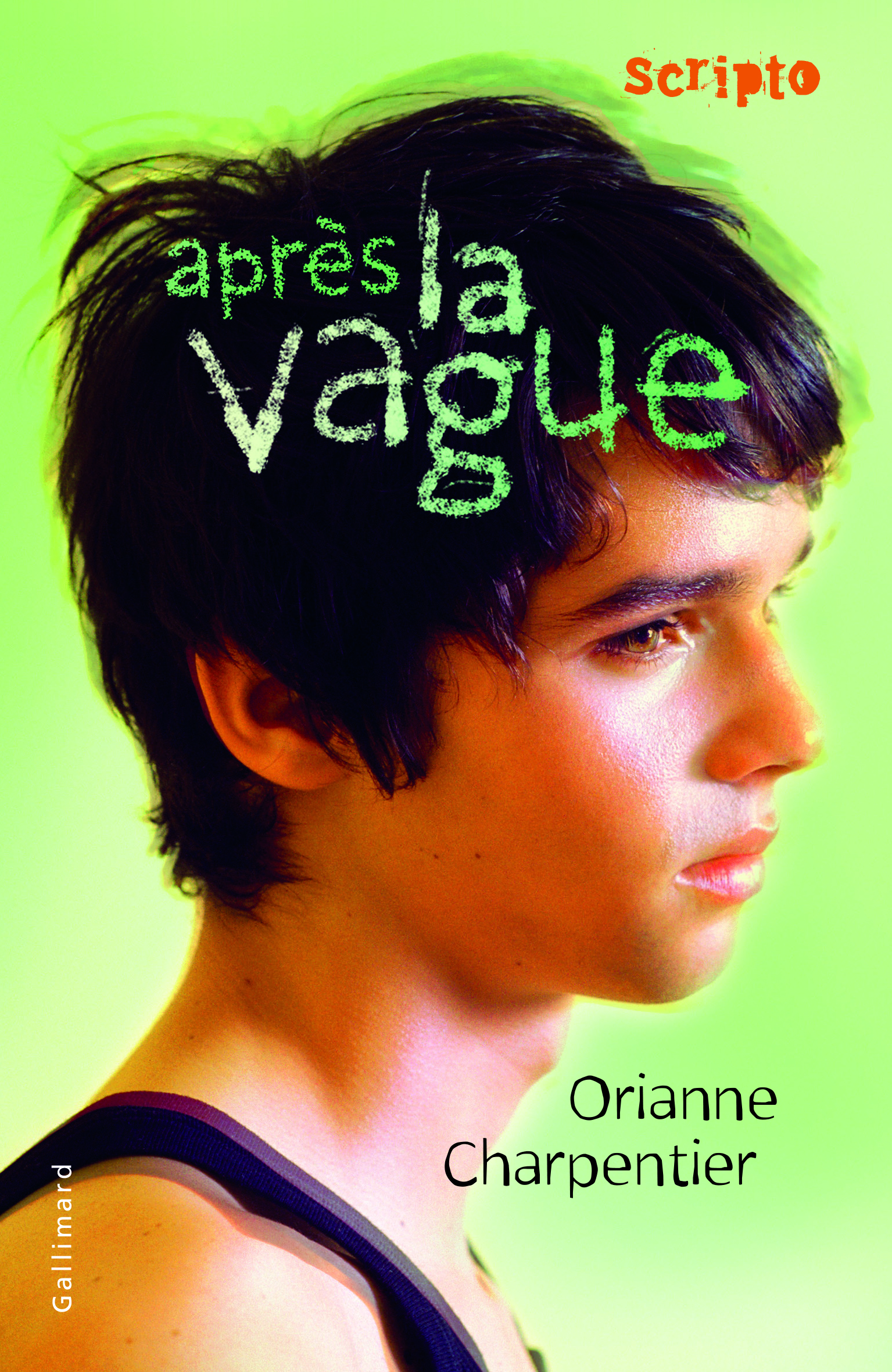 Après la vague - ORIANNE CHARPENTIER - GALLIMARD JEUNE