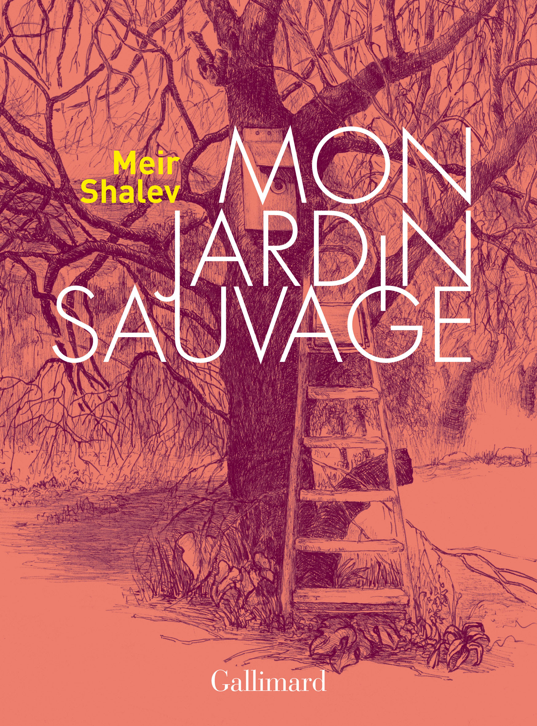 Mon jardin sauvage - Meir Shalev, Sylvie Cohen - GALLIMARD