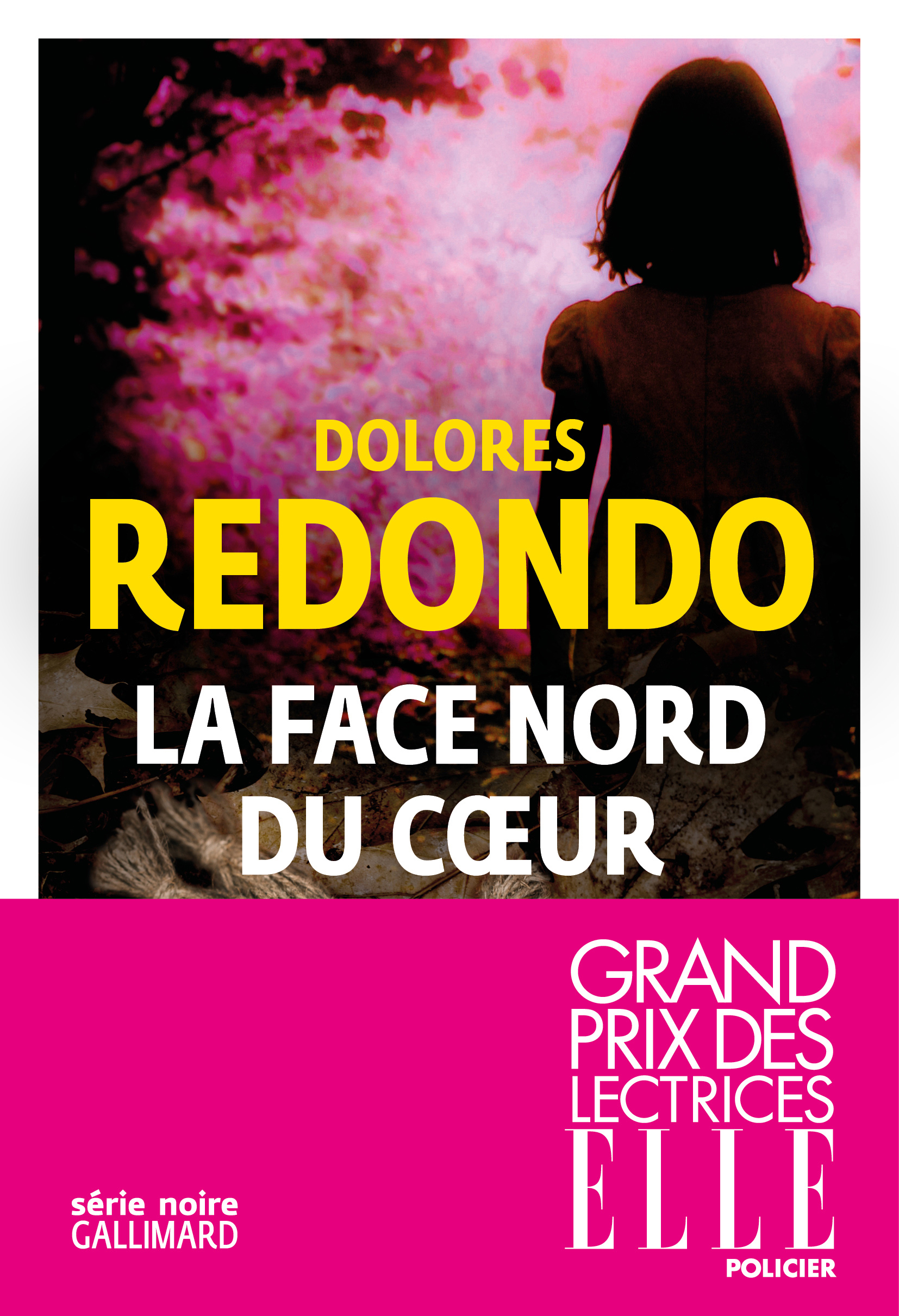 La face nord du coeur - Dolores Redondo, Anne Plantagenet - GALLIMARD