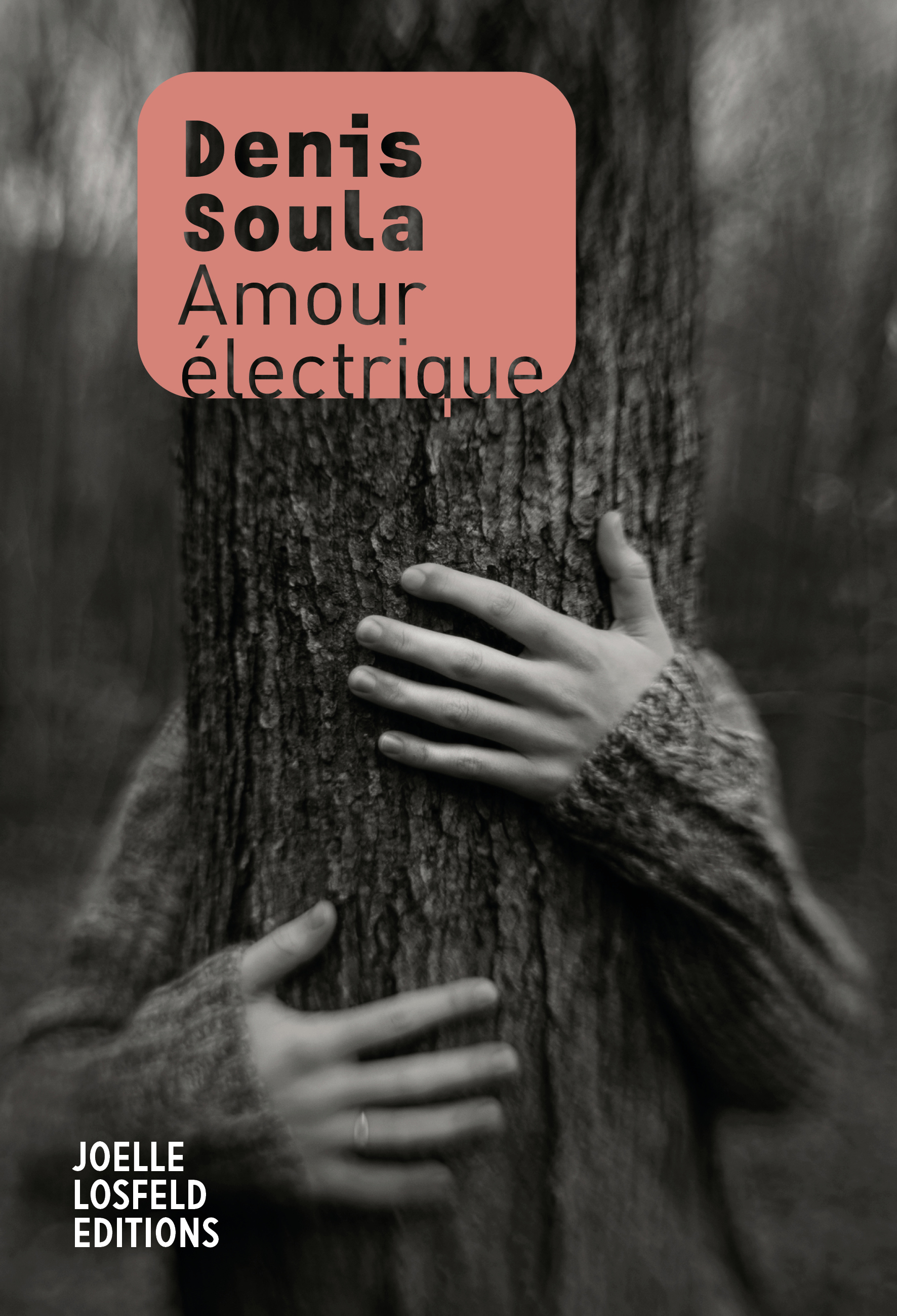 Amour électrique - Denis Soula - JOELLE LOSFELD