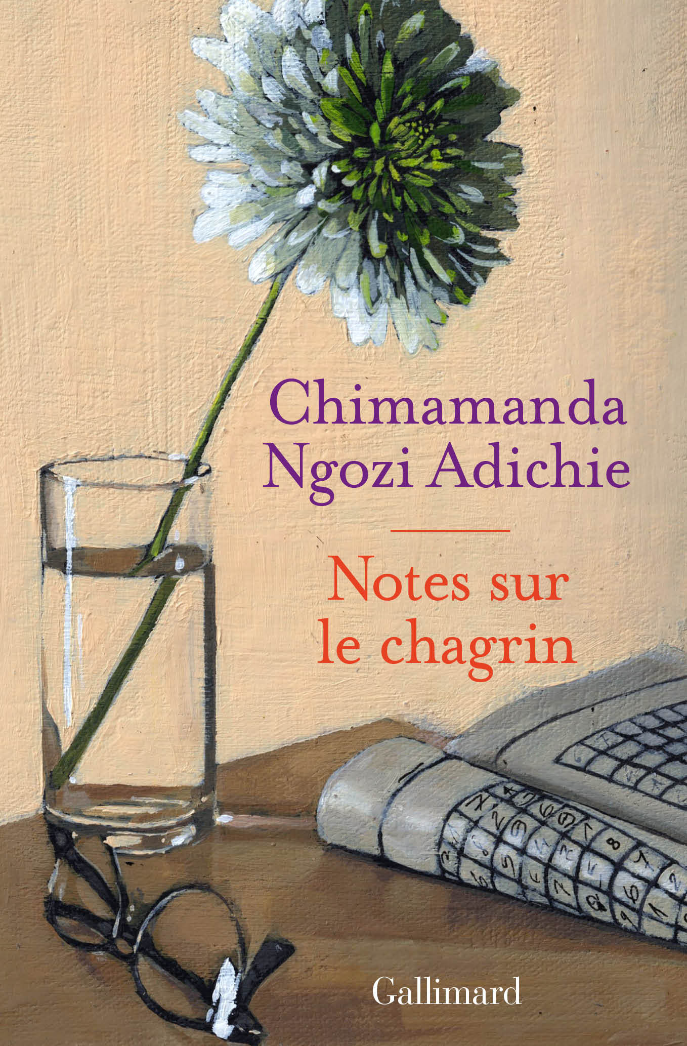 Notes sur le chagrin - Chimamanda Ngozi Adichie, Mona de Pracontal - GALLIMARD