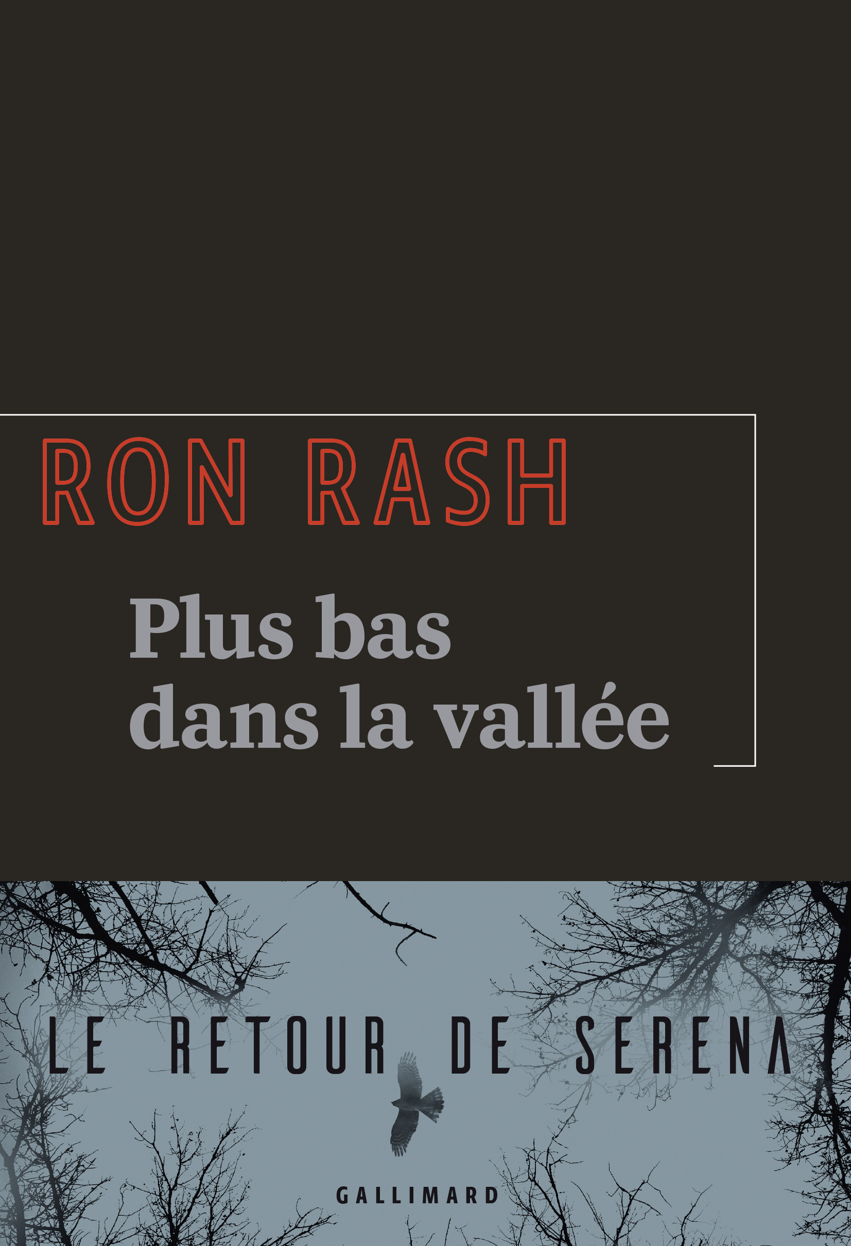 Plus bas dans la vallée - Ron Rash, Isabelle Reinharez - GALLIMARD