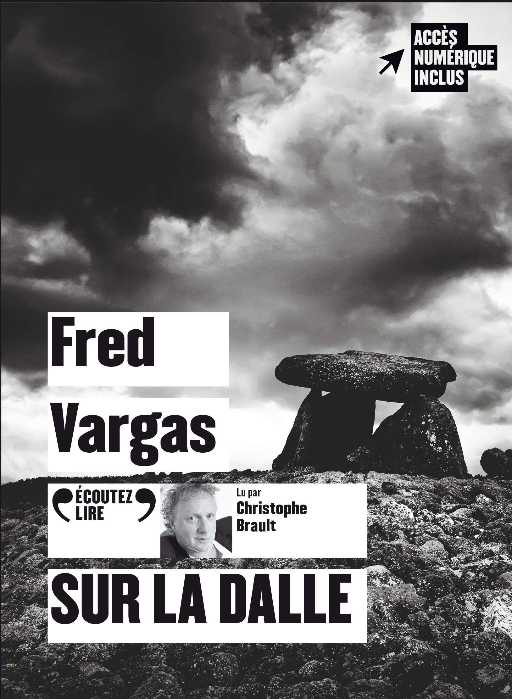 Sur la dalle - Fred Vargas, Christophe Brault - GALLIMARD