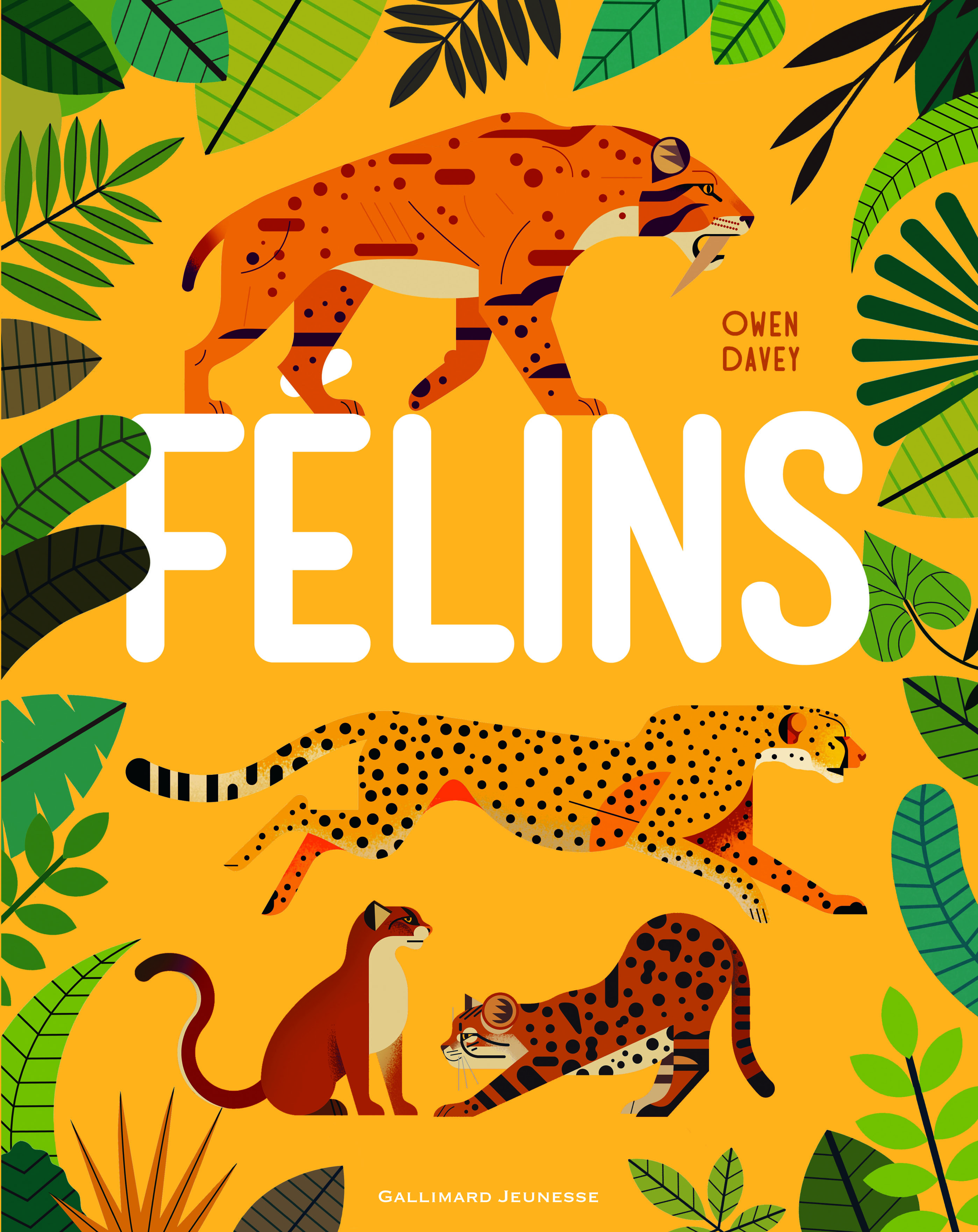 Félins - Owen Davey, Catherine Destephen - GALLIMARD JEUNE