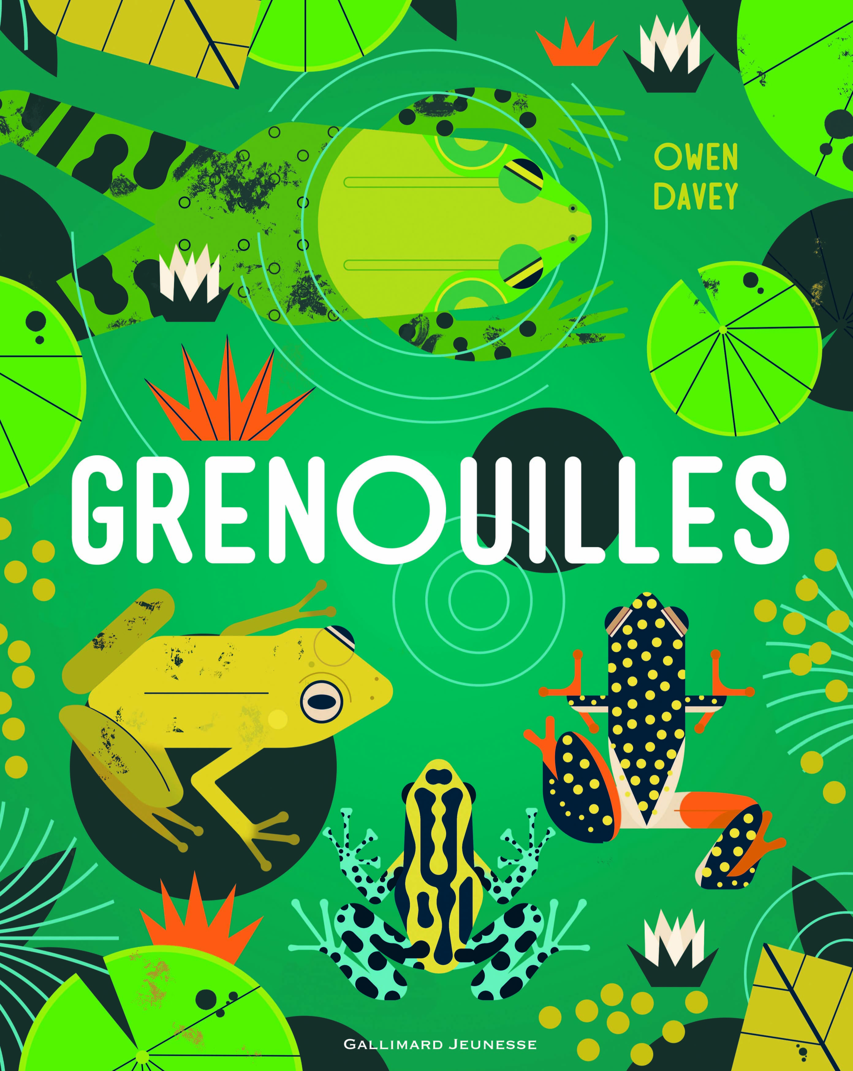 Grenouilles - Owen Davey, Bérengère Viennot - GALLIMARD JEUNE