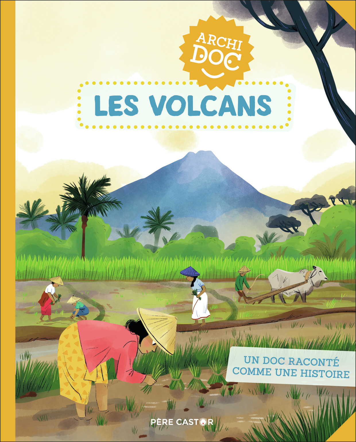 Archidocs - Les volcans - Maud Riemann, Emmanuel Trédez - PERE CASTOR