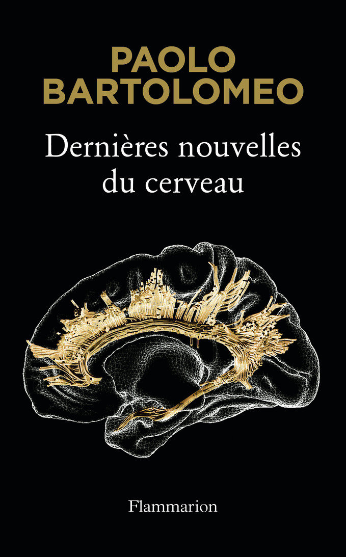 Dernières nouvelles du cerveau - Paolo Bartolomeo, Thomas Haessig - FLAMMARION