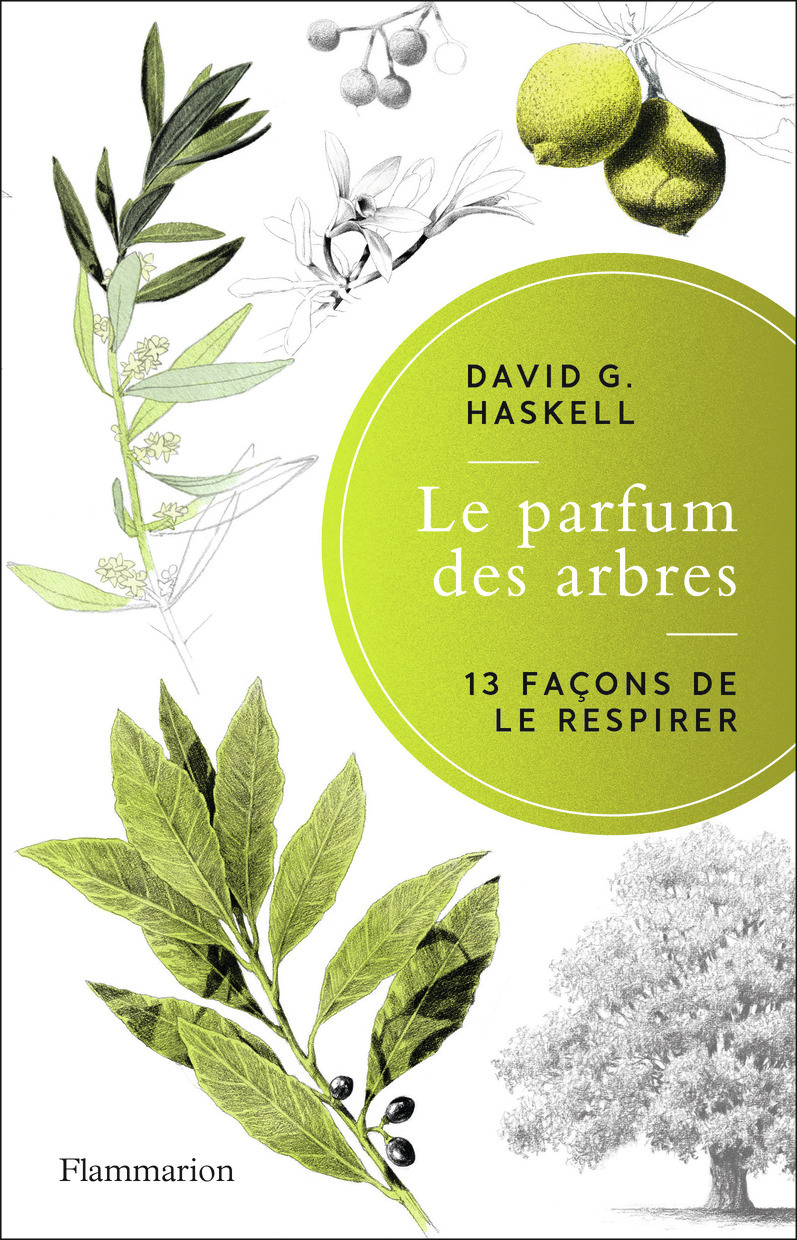 Le parfum des arbres - David G. Haskell, Valentine Plessy, Eva Roques - FLAMMARION Le parfum des arbres - David G. Haskell, Valentine Plessy, Eva Roques - FLAMMARION