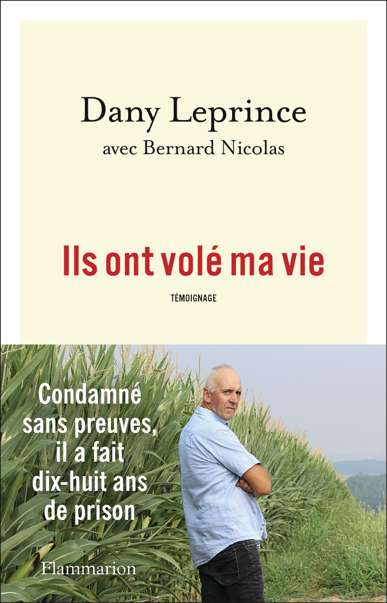 Ils ont volé ma vie - Dany Leprince - FLAMMARION