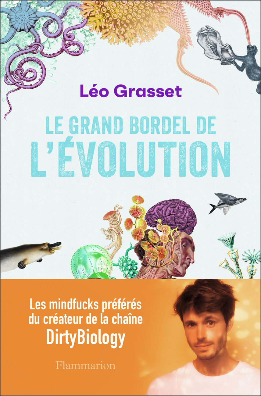 Le grand bordel de l'évolution - Léo Grasset, Alice Mazel - FLAMMARION