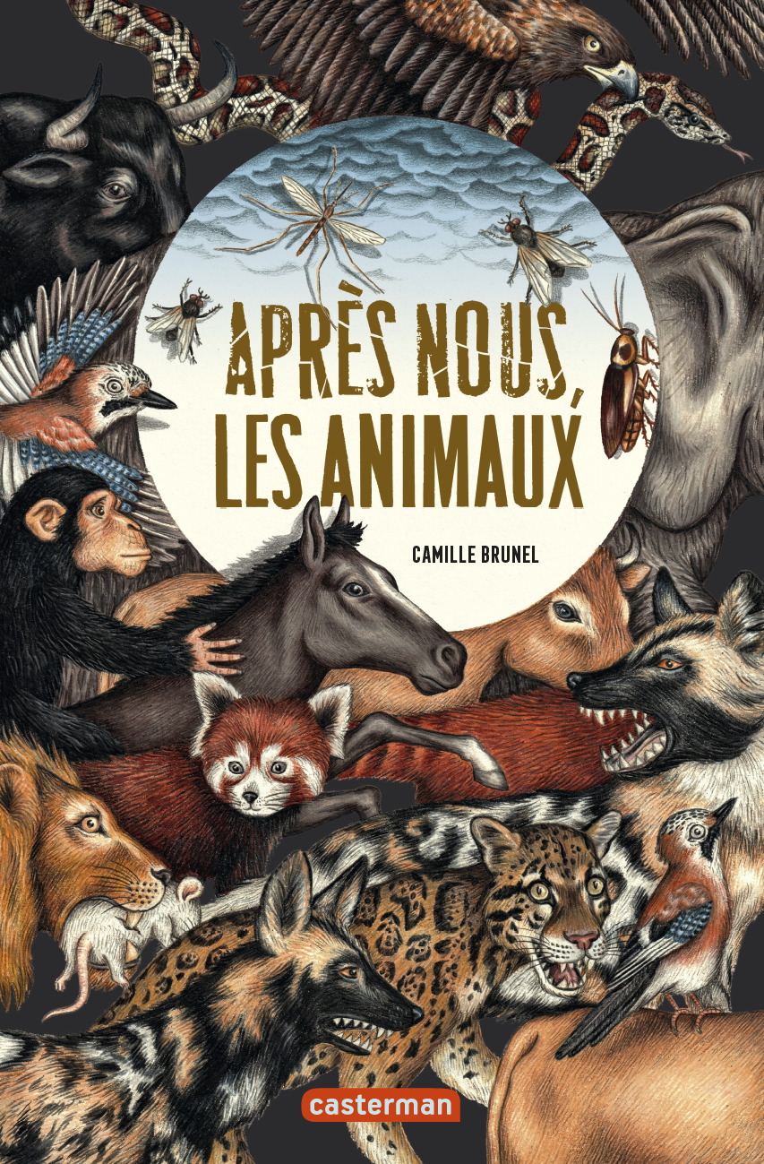 Après nous, les animaux - Camille Brunel - CASTERMAN