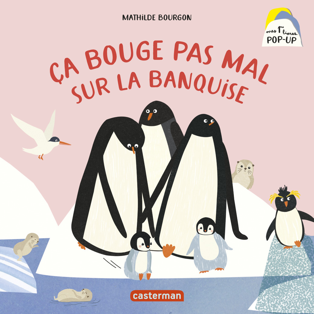 Mes 1ers livres Pop-Up - Ça bouge pas mal sur la banquise - Mathilde Bourgon - CASTERMAN