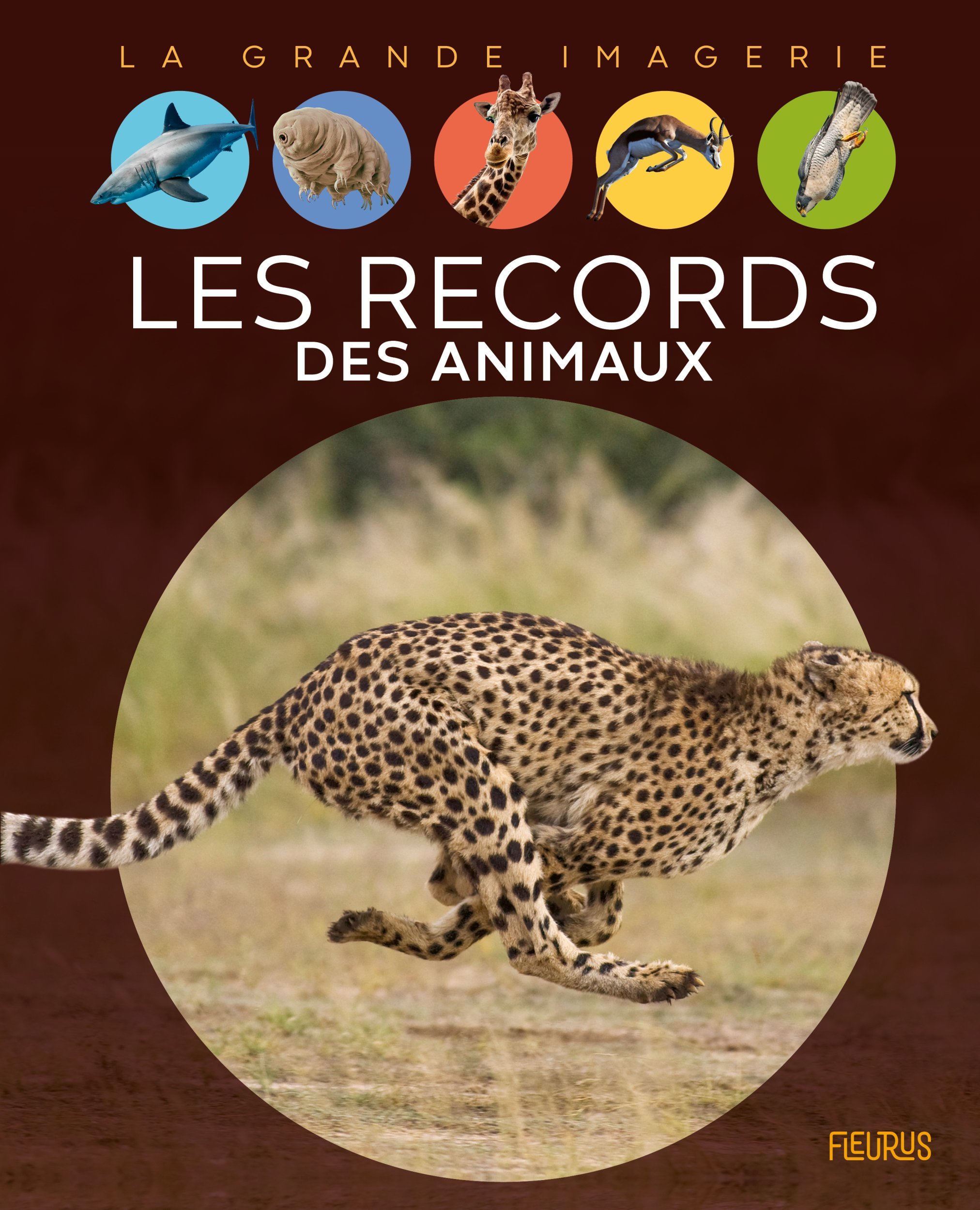 Les records des animaux - Cathy Franco - FLEURUS