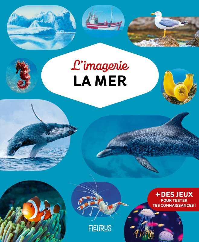 L'imagerie - La mer - Daniel Boudineau, Janine Boudineau, Hélène Grimault - FLEURUS