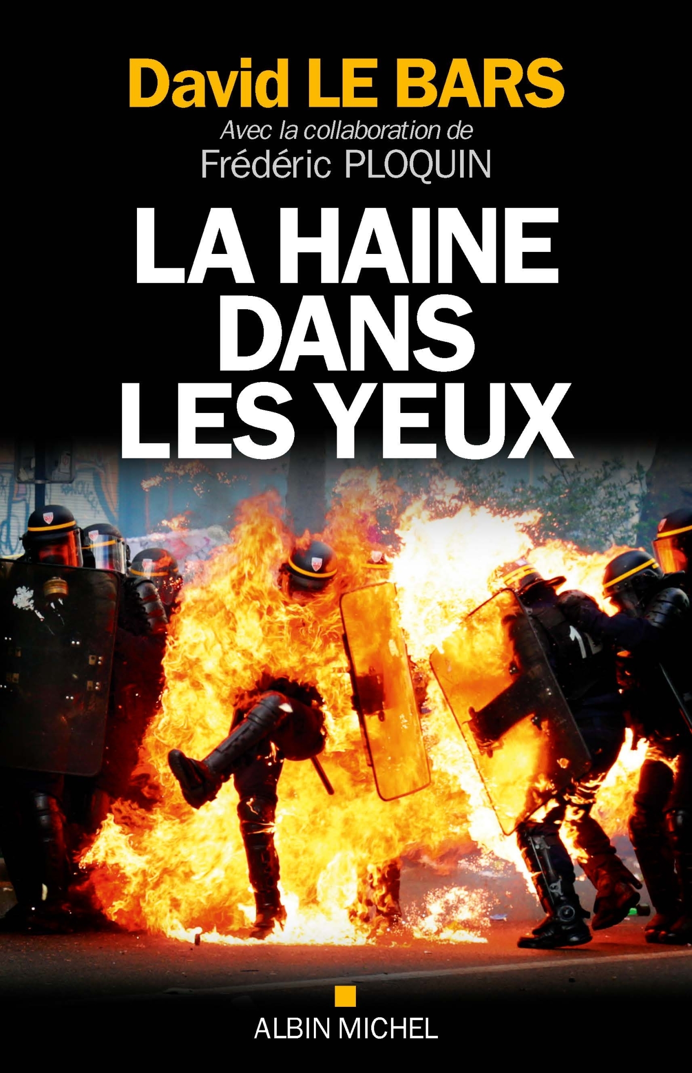 La Haine dans les yeux - David Le Bars, Frédéric Ploquin - ALBIN MICHEL