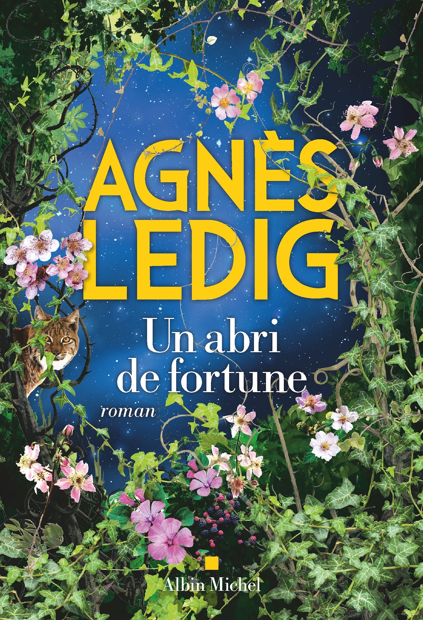 Un abri de fortune - Agnès Ledig - ALBIN MICHEL