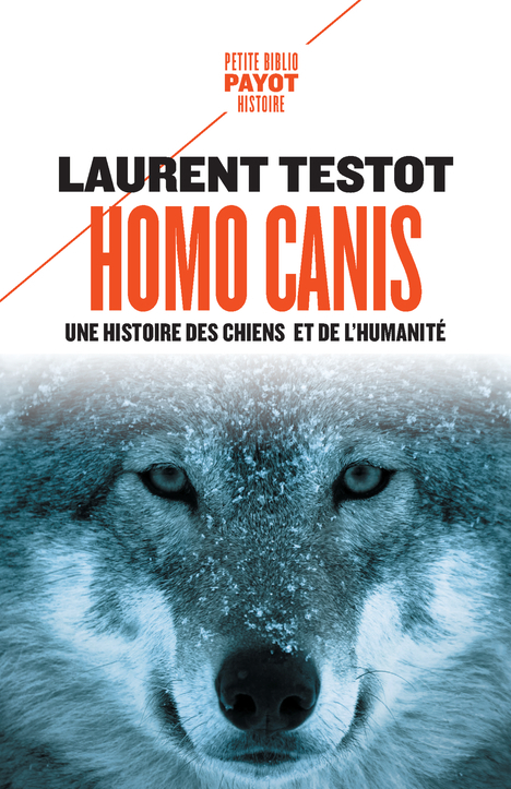 Homo Canis - Laurent TESTOT, Sophie Bajard - PAYOT