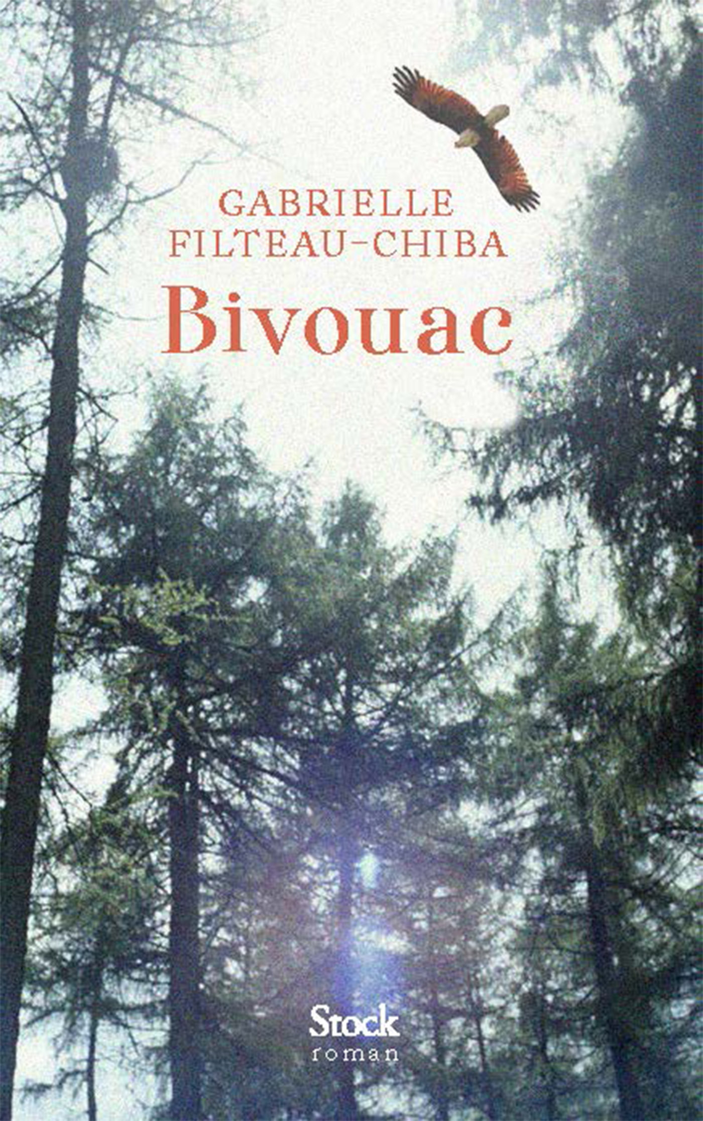 Bivouac - Gabrielle Filteau-Chiba - STOCK