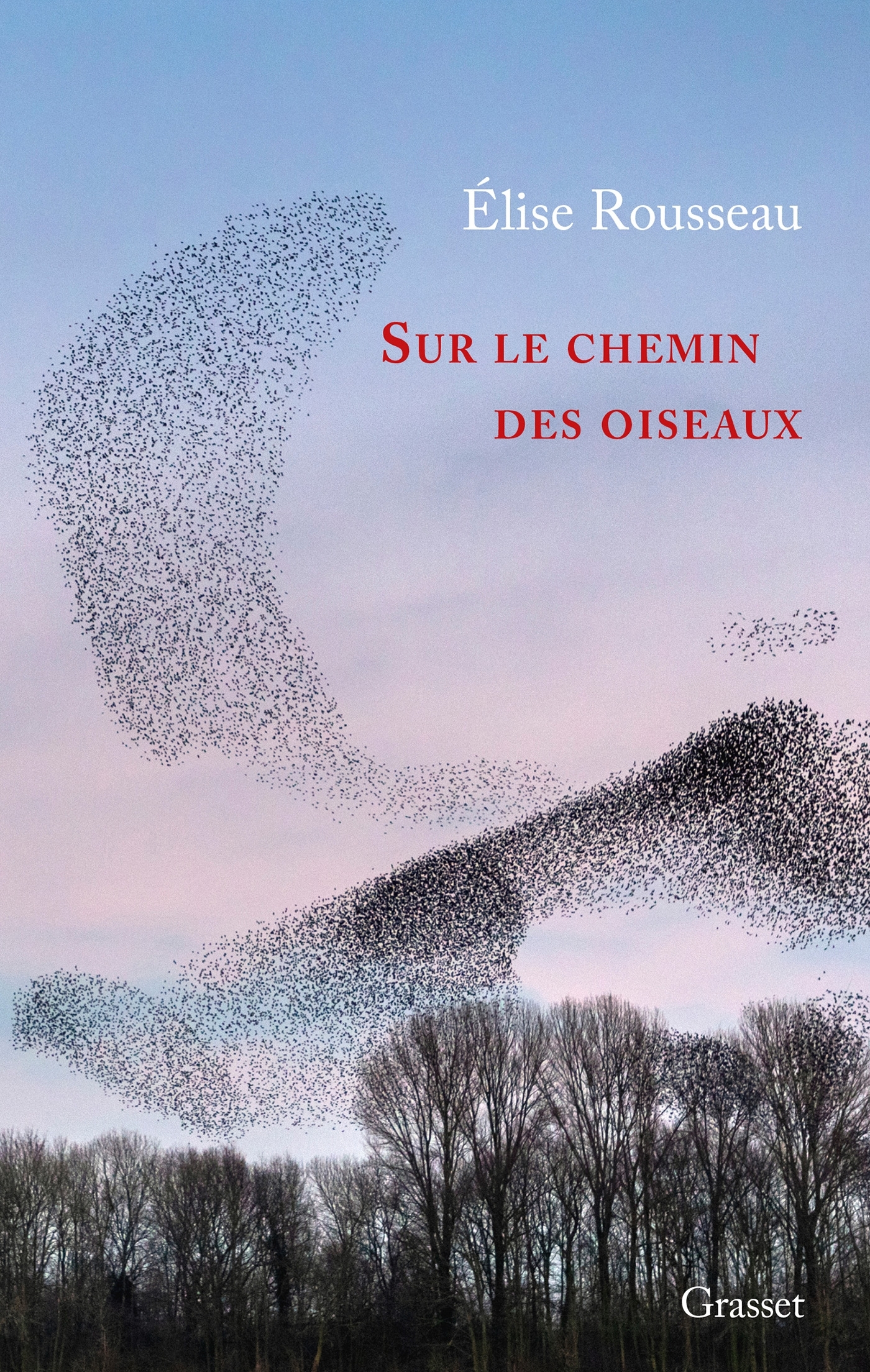 Sur le chemin des oiseaux - Élise Rousseau - GRASSET