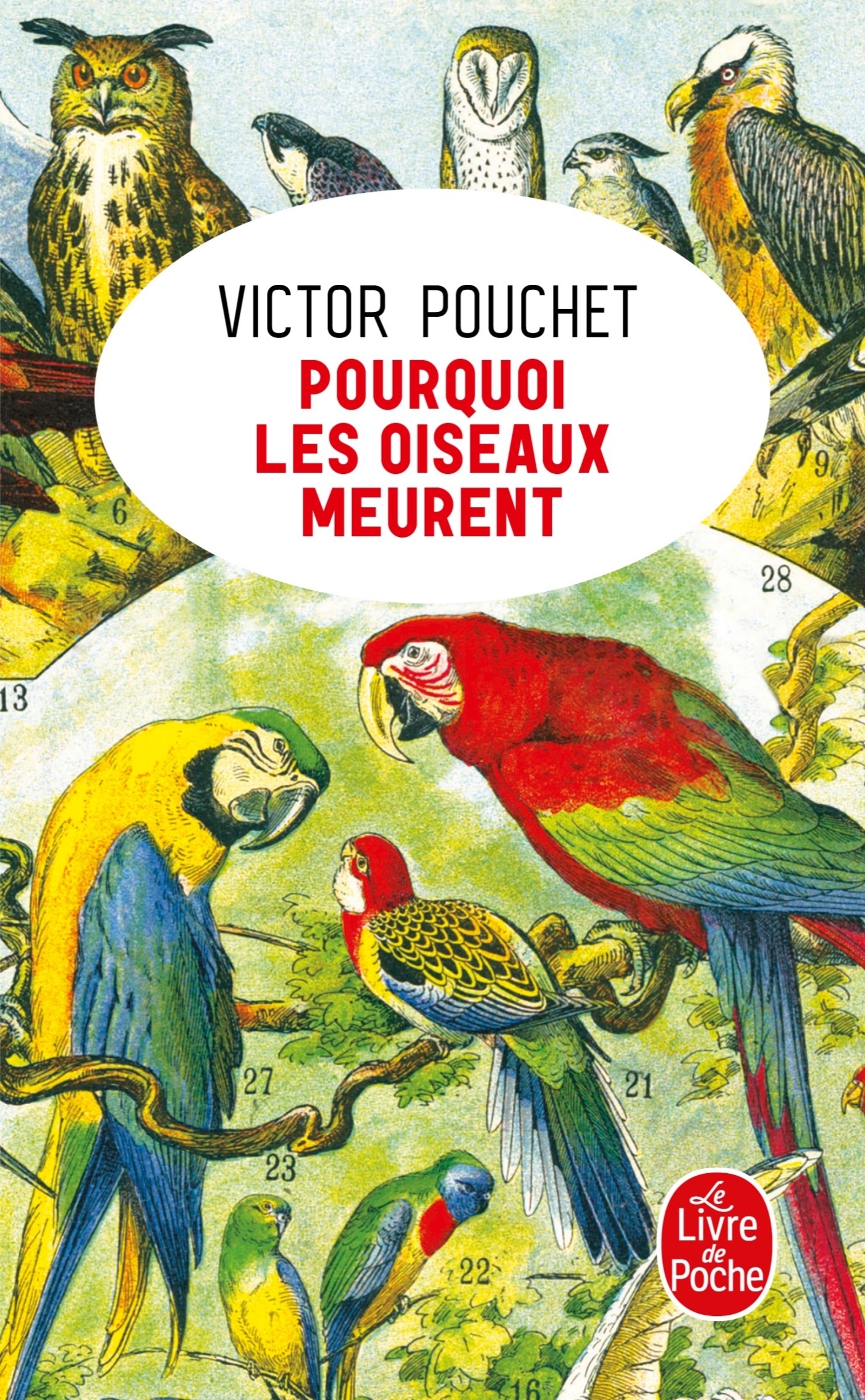 Pourquoi les oiseaux meurent - VICTOR POUCHET - LGF