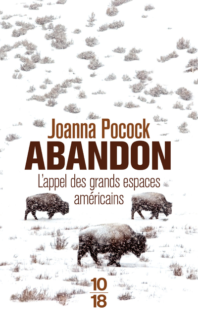 Abandon - Joanna Pocock - 10 X 18