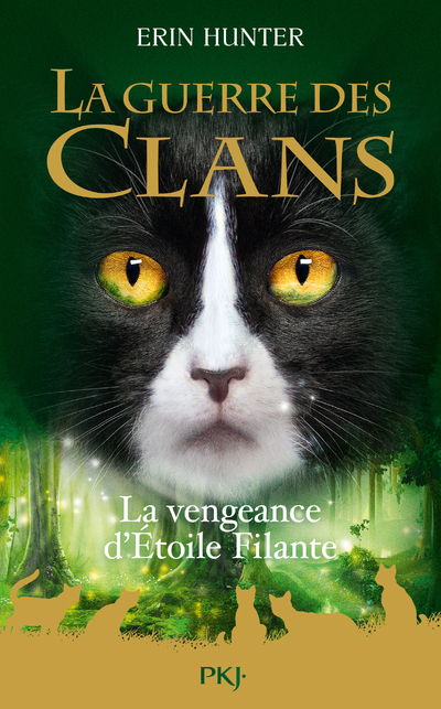 La Guerre des Clans : La Vengeance d'Etoile Filante - Hors série - Erin Hunter - POCKET JEUNESSE