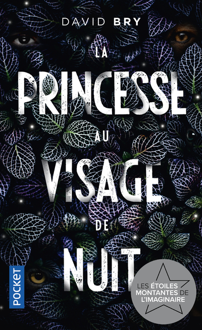 La Princesse au visage de nuit - David Bry - POCKET