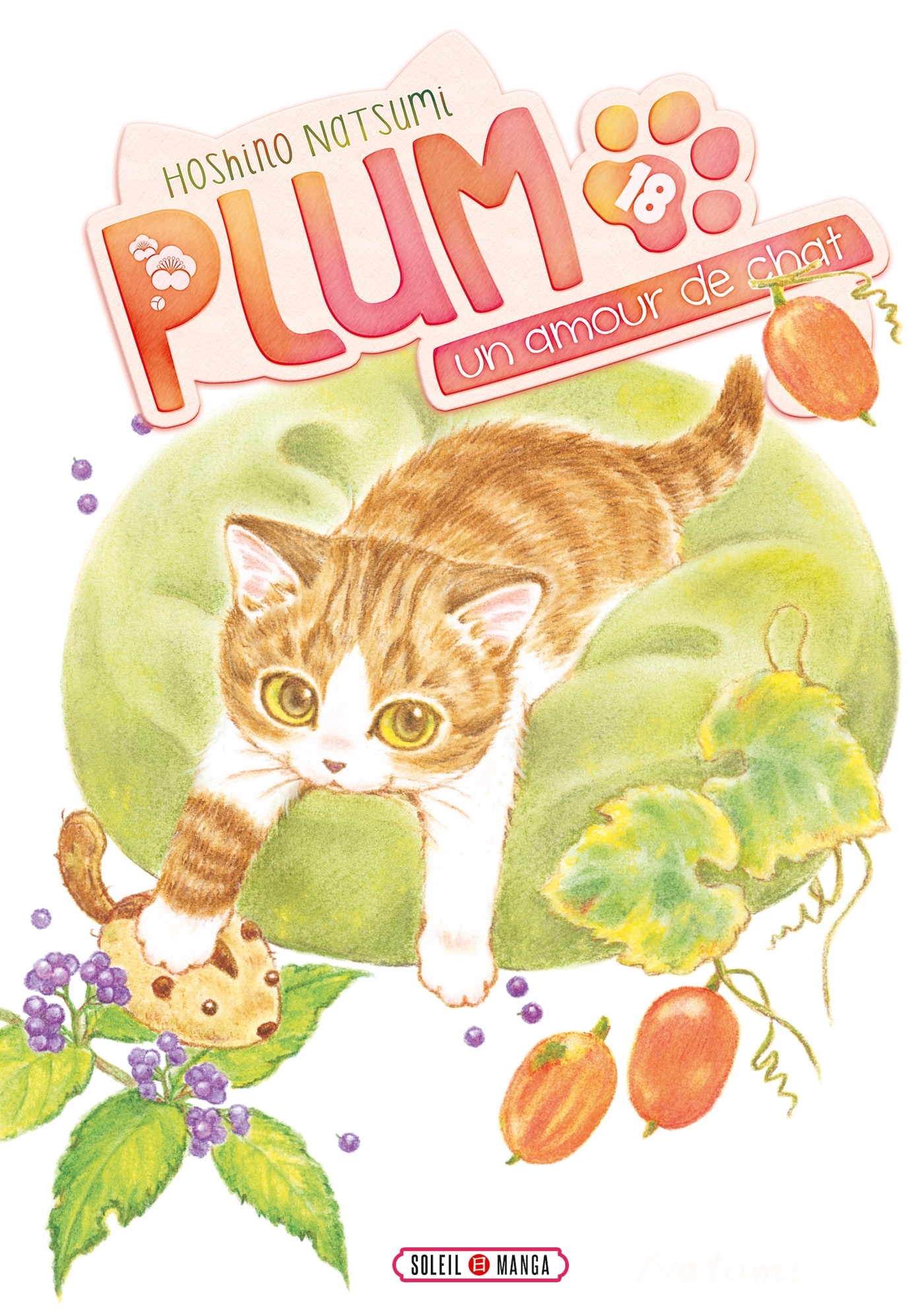 Plum, un amour de chat T18 - Natsumi Hoshino - SOLEIL