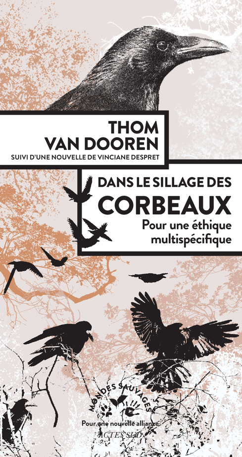 Dans le sillage des corbeaux - Thomas Van dooren - ACTES SUD