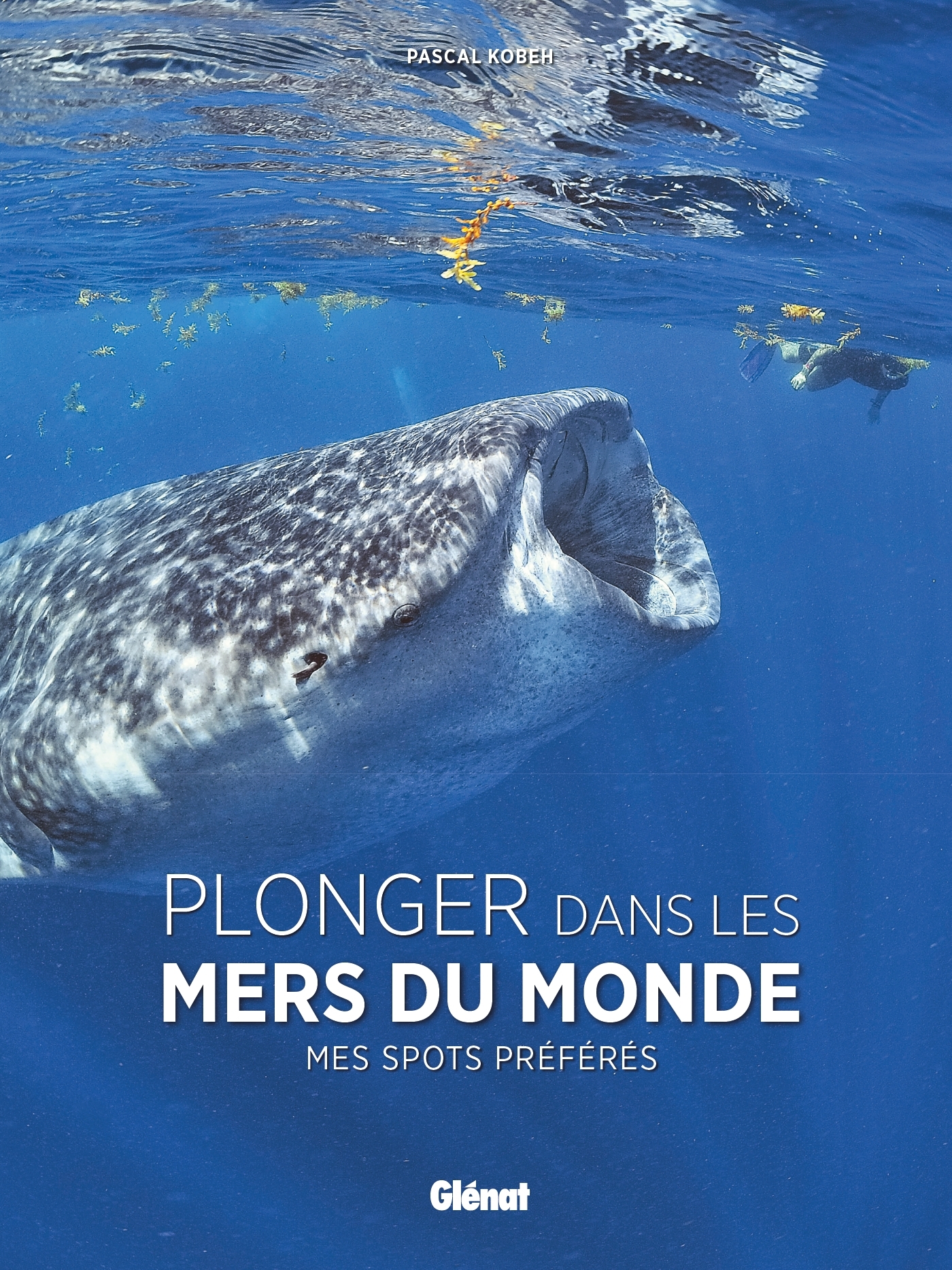 Plonger dans les mers du monde - Pascal Kobeh - GLENAT