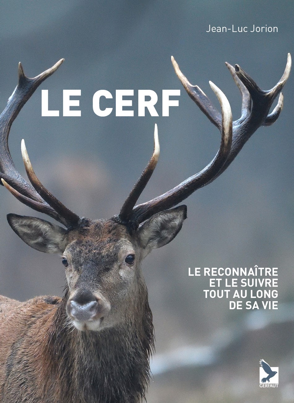 Le cerf - Jean-Luc Jorion - GERFAUT