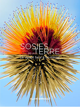 Sosies de la terre - Alain Ernoult - GOURCUFF GRADEN