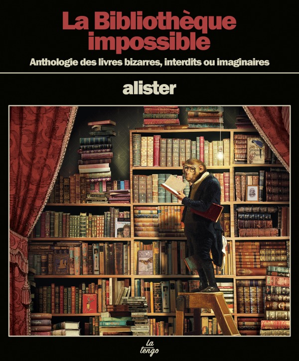 La bibliothèque impossible -  Alister - TENGO