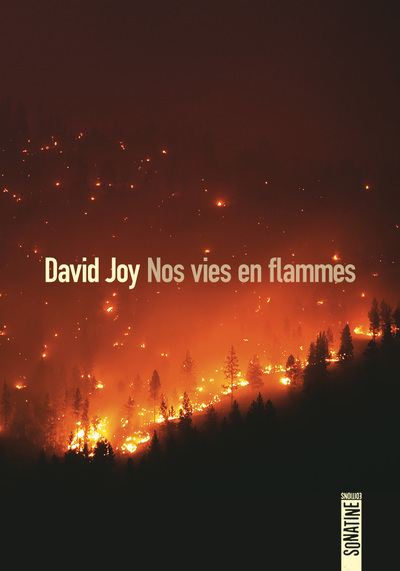 Nos vies en flammes - David Joy - SONATINE