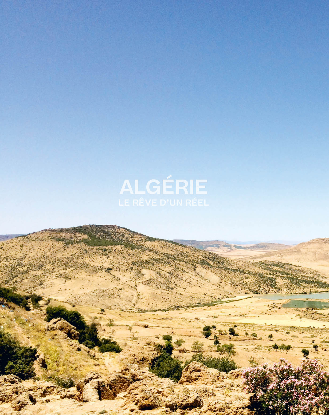 Algérie, le rêve d'un réel -  DAMANI ABDELKADER - LIENART