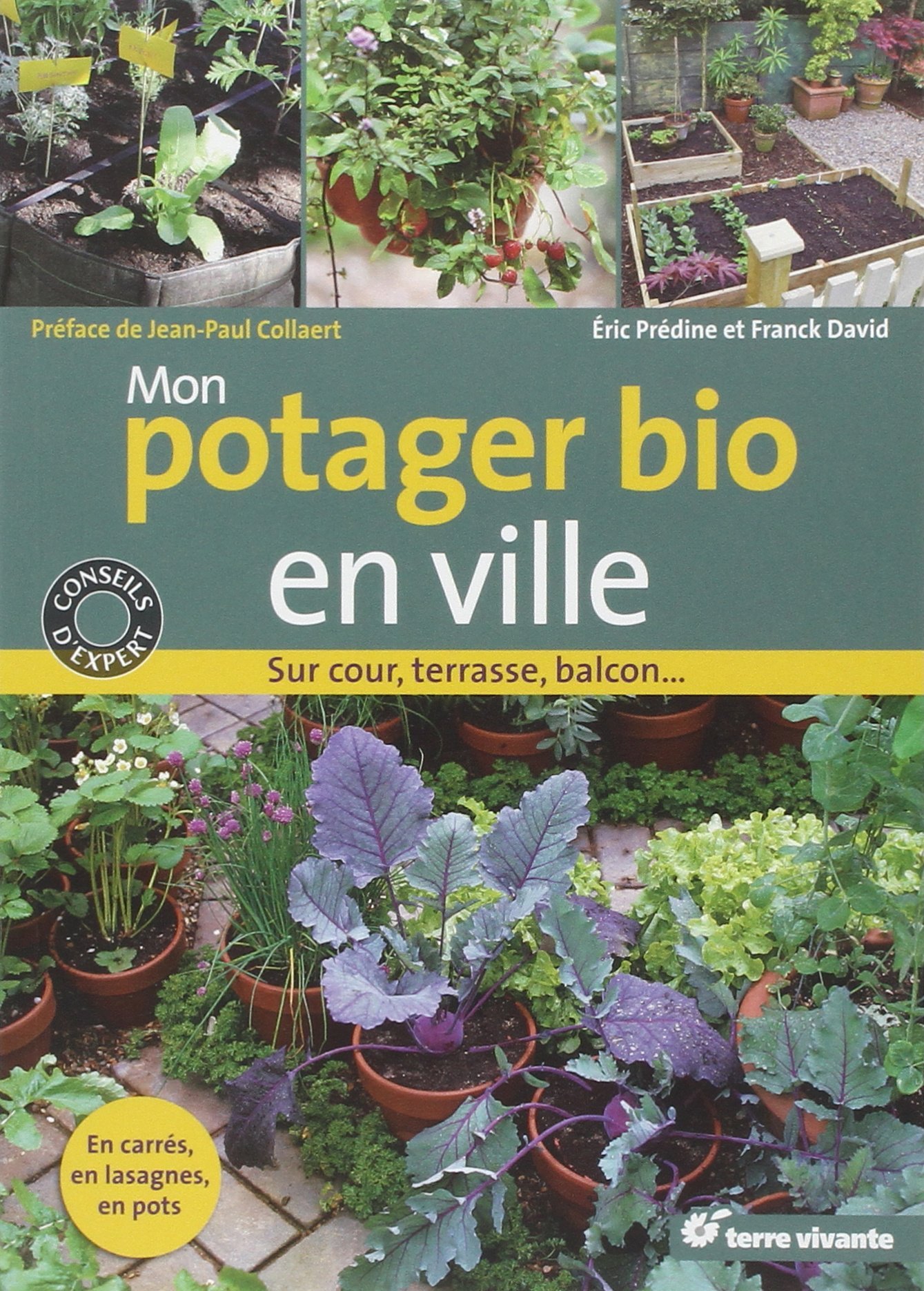 Mon potager bio en ville - Franck David - TERRE VIVANTE