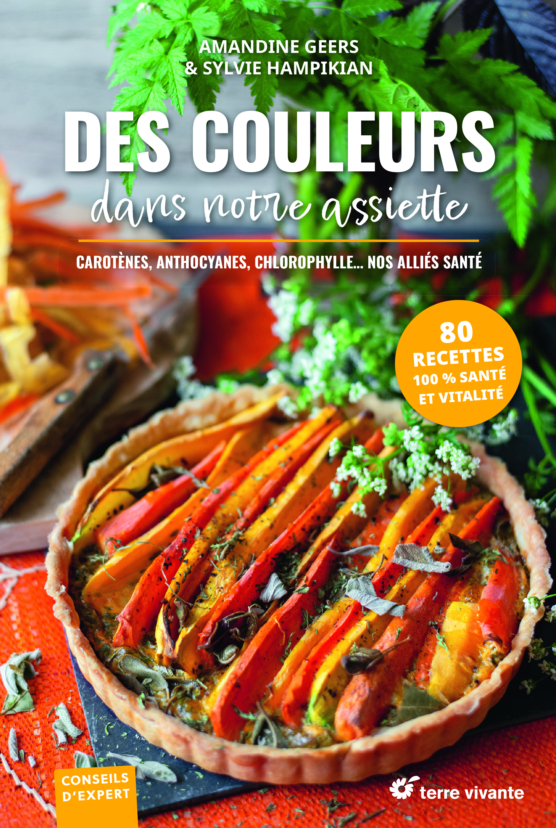 Des couleurs dans notre assiette - Amandine Geers - TERRE VIVANTE