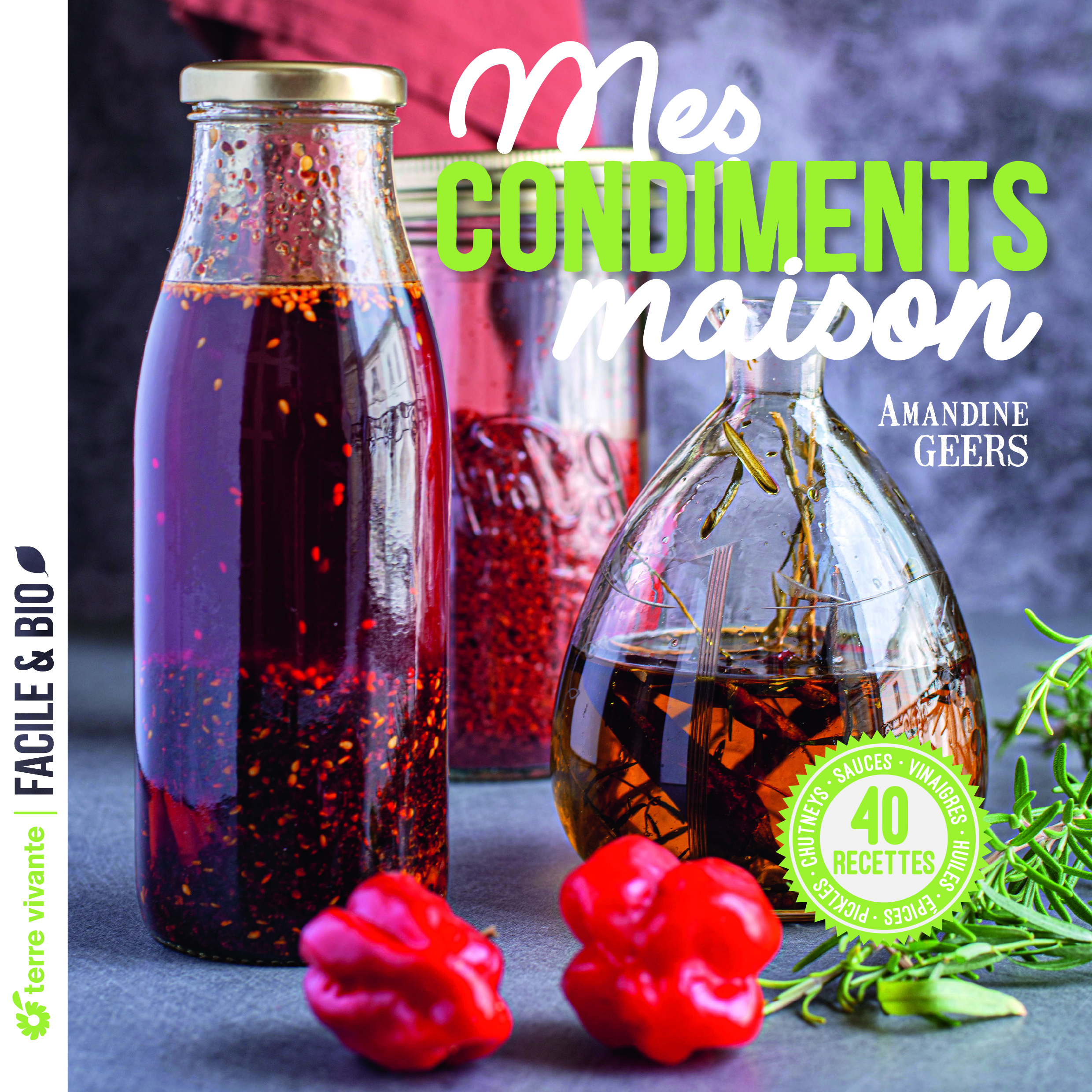 Mes condiments maison - Amandine Geers - TERRE VIVANTE