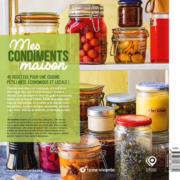 Mes condiments maison - Amandine Geers - TERRE VIVANTE