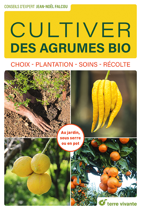 Cultiver des agrumes bio - Jean-Noël Falcou - TERRE VIVANTE