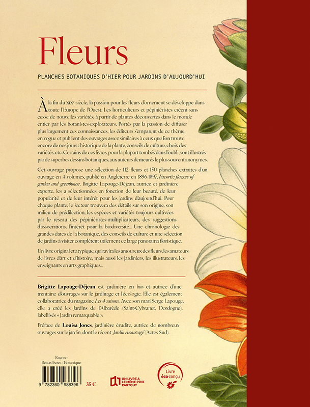 Fleurs - Brigitte Lapouge-Déjean - TERRE VIVANTE